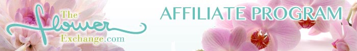 affiliate_700x100